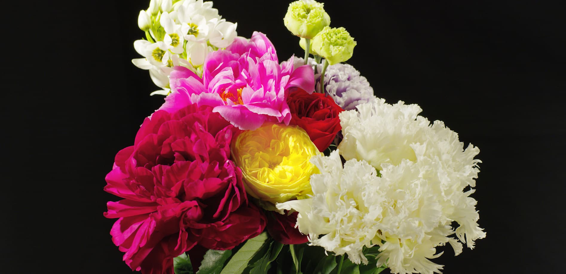 Close Up Flower_8K