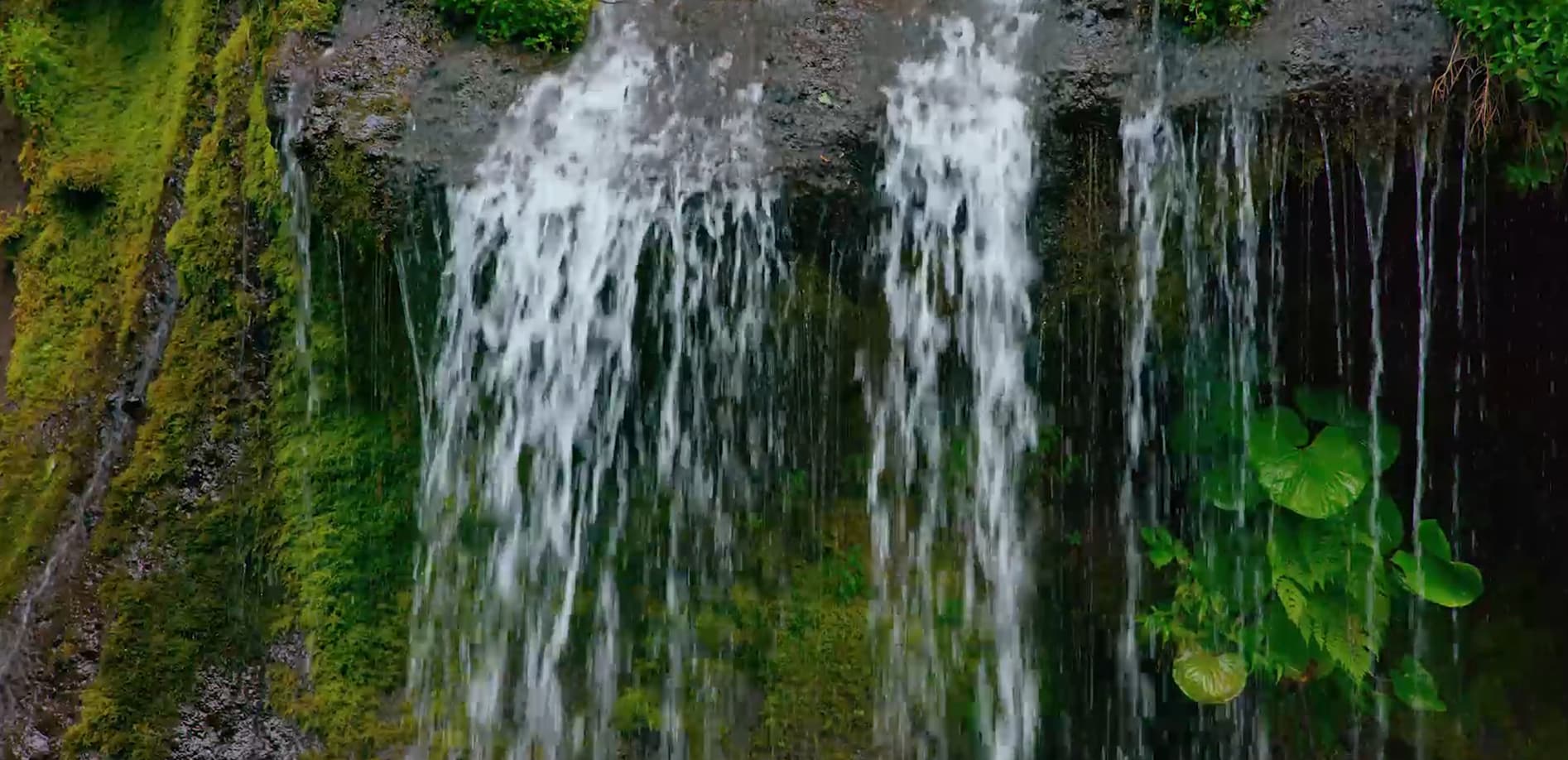 吐竜の滝_8K
