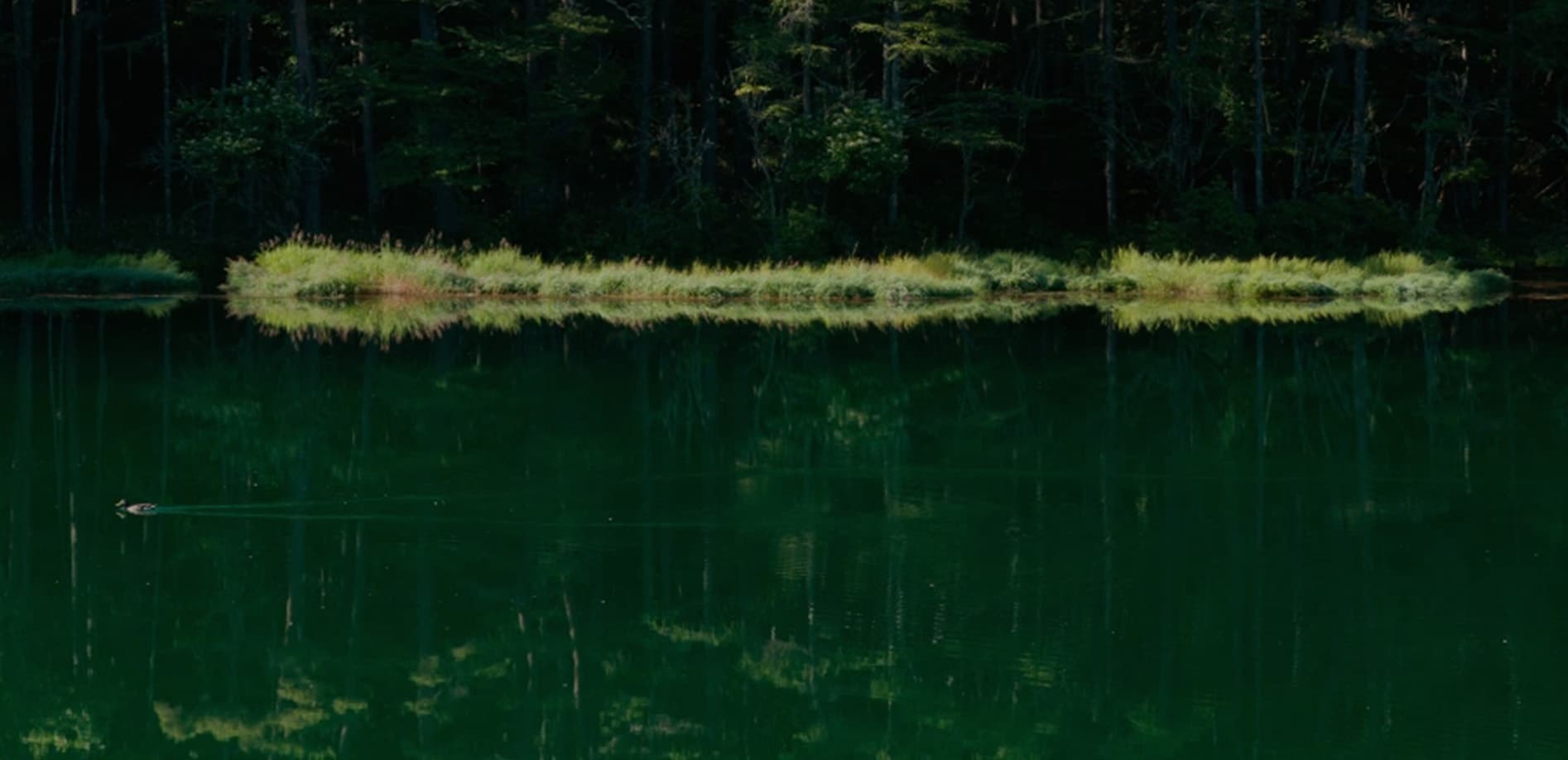 御射鹿池の緑景 朝12K_32:9