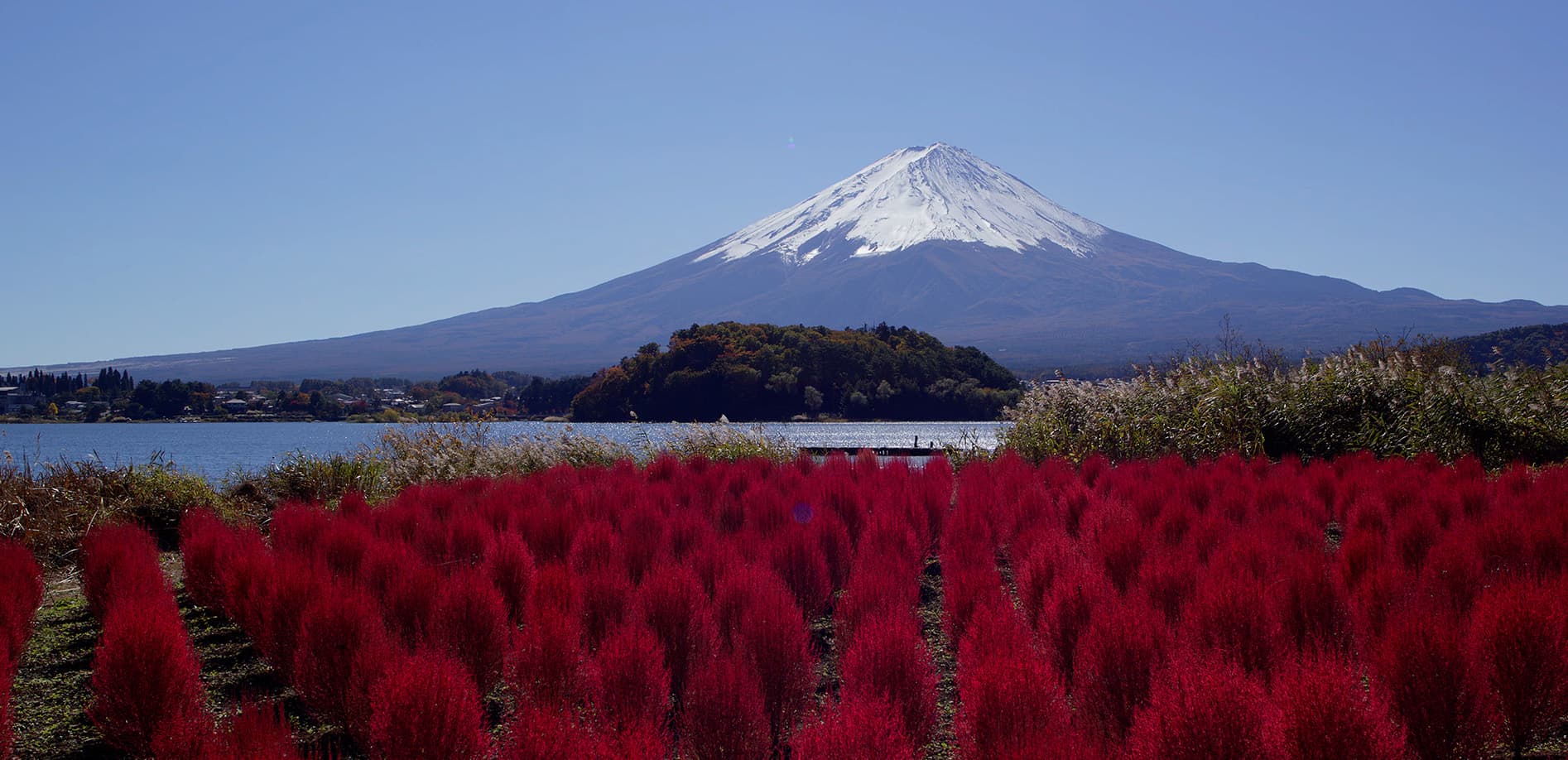 富士山の秋_12K