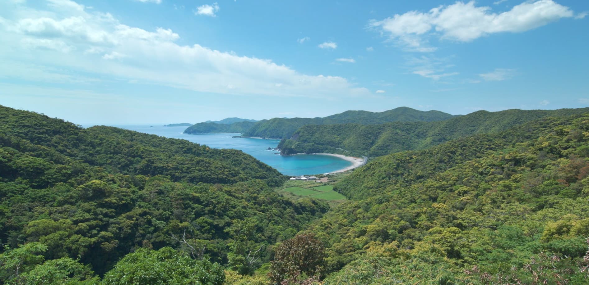 春の奄美大島