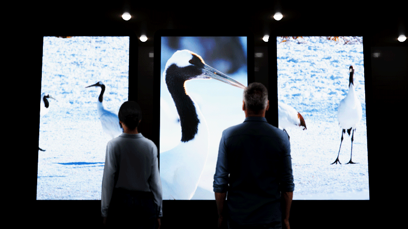 縦型映像編集イメージ画像