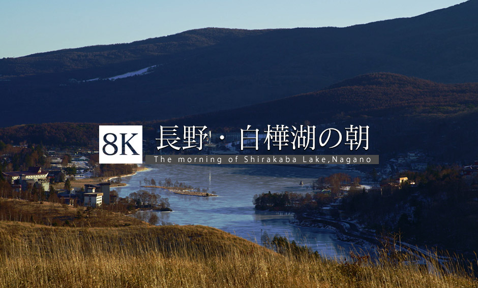 長野・白樺湖の朝_8K