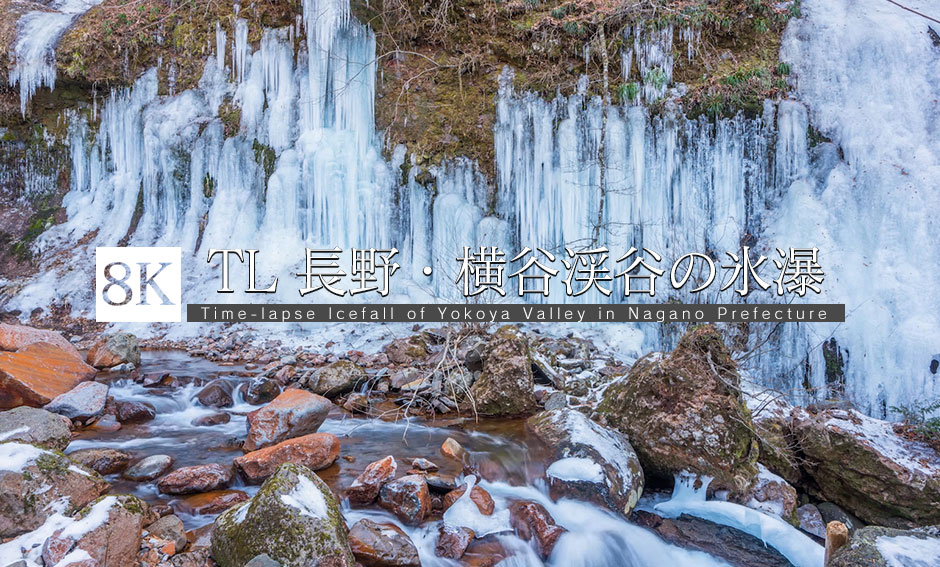 長野・横谷渓谷 屏風岩の氷瀑_8K