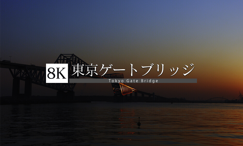 恐竜橋の夜、東京ゲートブリッジ_8K