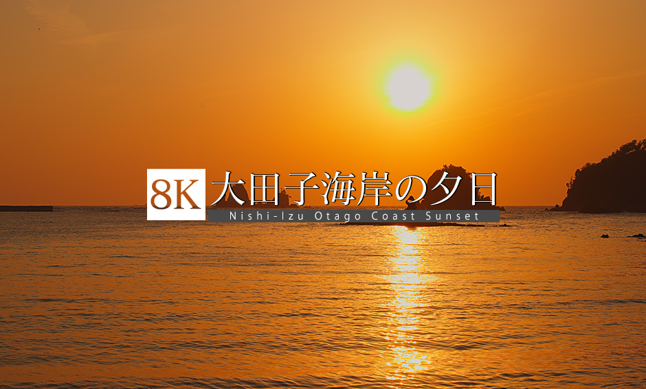西伊豆 太田子海岸の夕日_8K