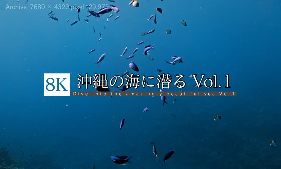 沖縄の海に潜る Vol.1 8K