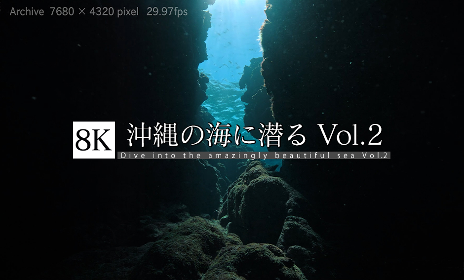 沖縄の海に潜る Vol.2 海底へ 8K