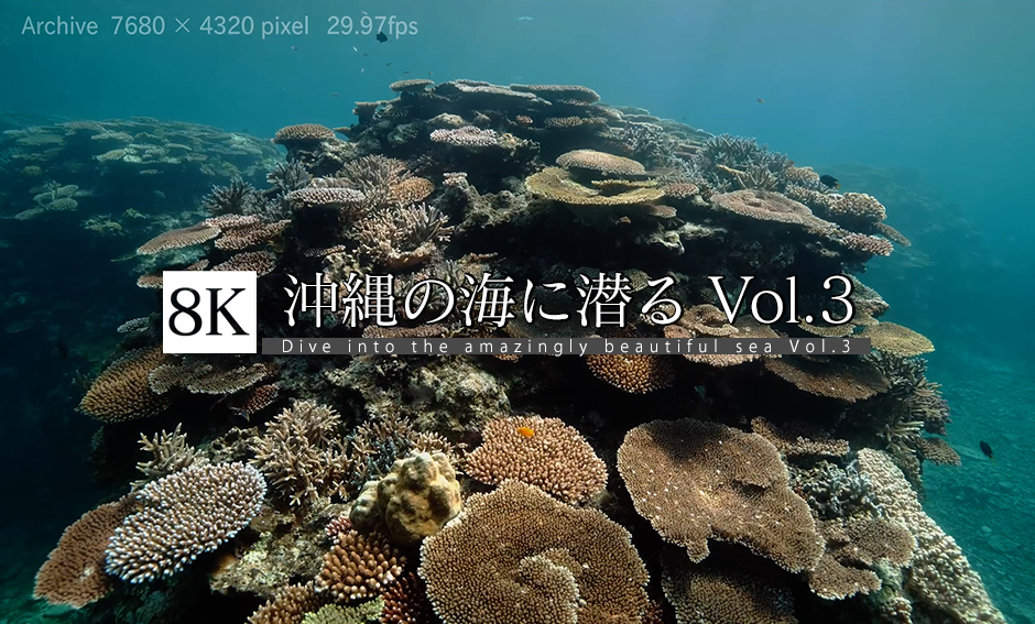 沖縄の海に潜る Vol.3 8K