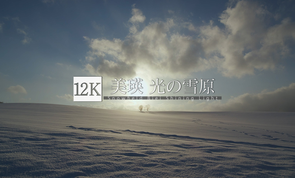 美瑛の冬 vol.2 光の雪原_12K
