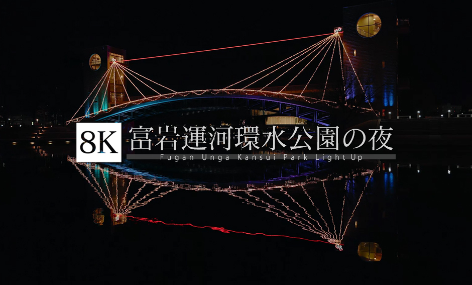 富山 富岩運河環水公園の夜 ライトアップ_8K
