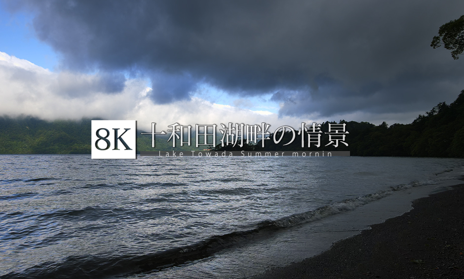 十和田湖畔の情景_8K