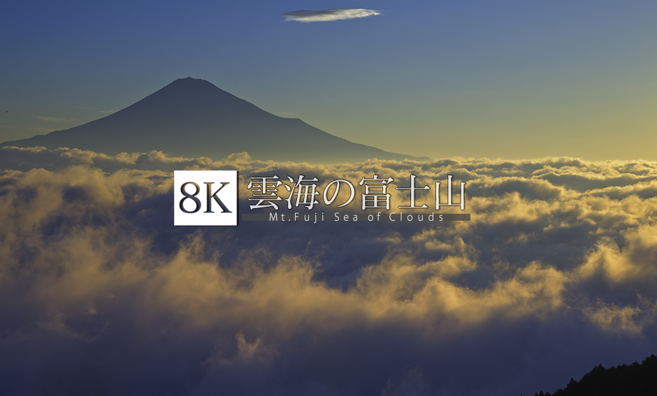 雲海の富士山_8K