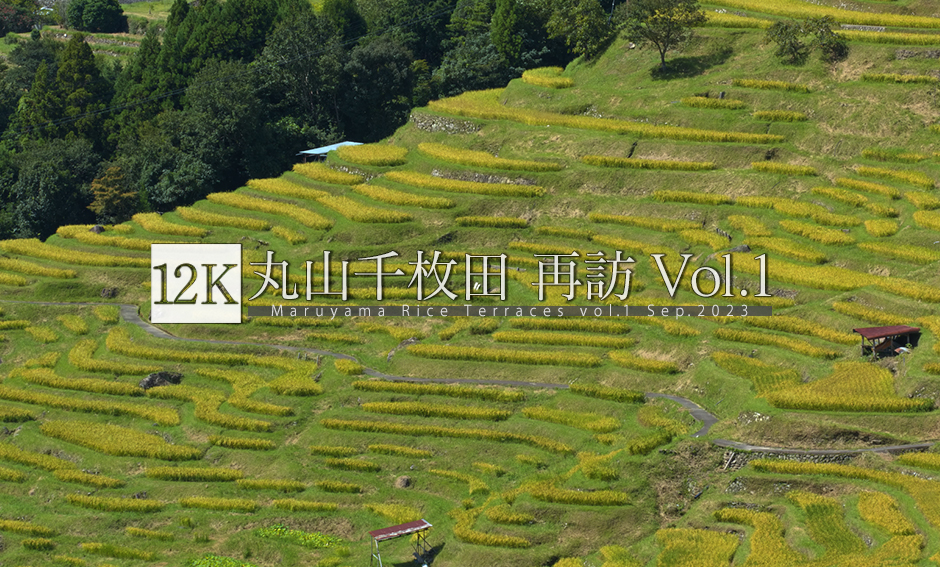 丸山千枚田 Vol.1 再訪 12K